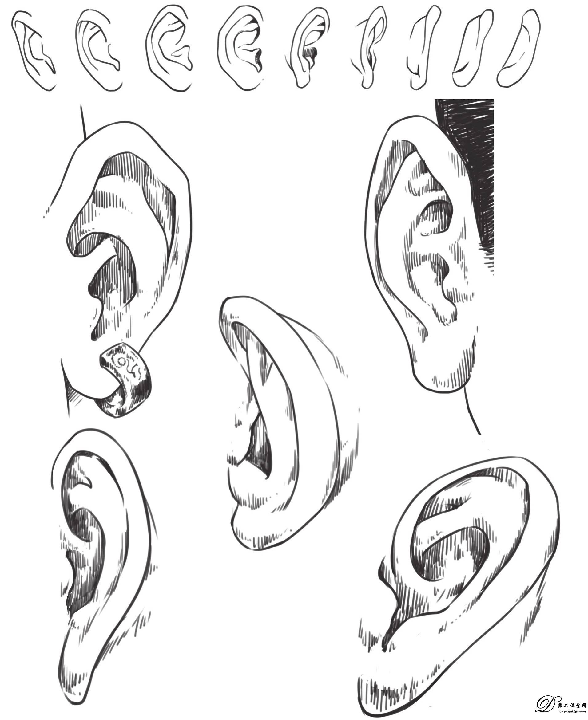 人物手绘漫画头部的画法—耳朵的结构和画法